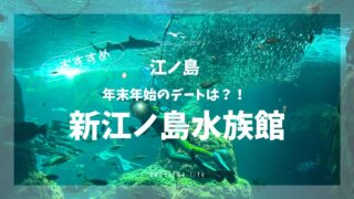 年末年始-新江ノ島水族館