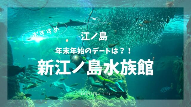 年末年始-新江ノ島水族館