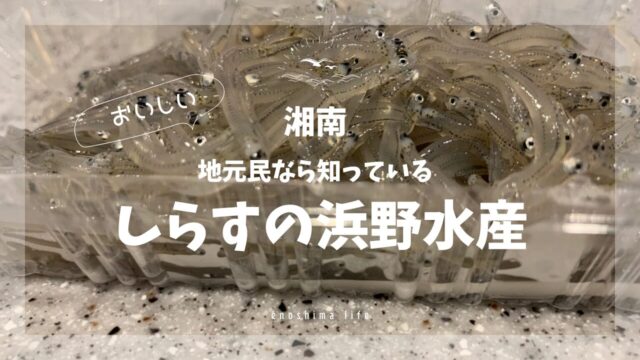 しらすの浜野水産