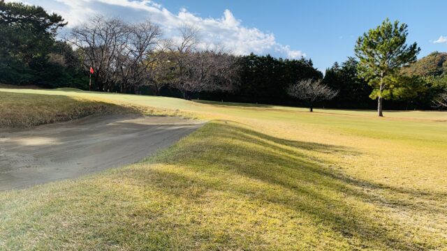 大磯ゴルフコース-№⑧
