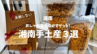 コーノロジー_ポップコーンお土産