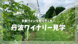丹波ワイナリー見学