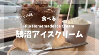 ヒロ・ホームメイド・アイスクリーム