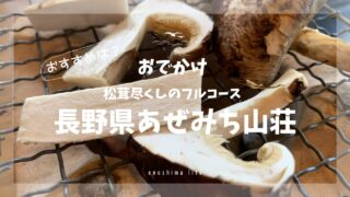 長野県あぜみち山荘_松茸