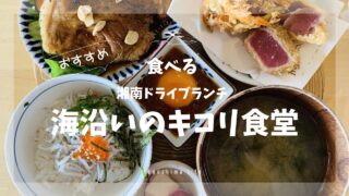 キコリ食堂ランチ