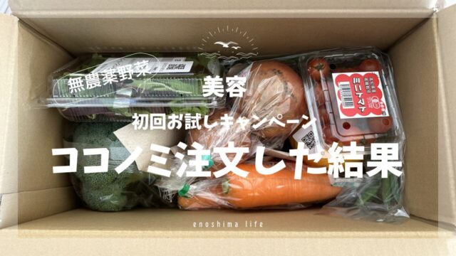 無農薬野菜ココノミ注文商品